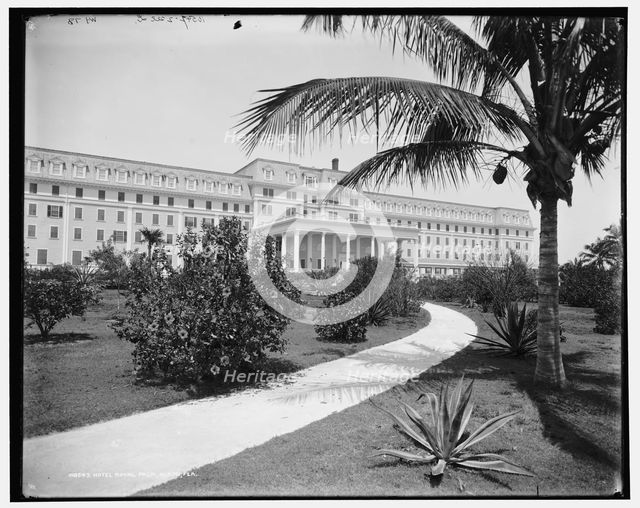 Hotel Royal Palm i.e. Royal Palm Hotel, Miami, Fla., c1900. Creator: William H. Jackson.