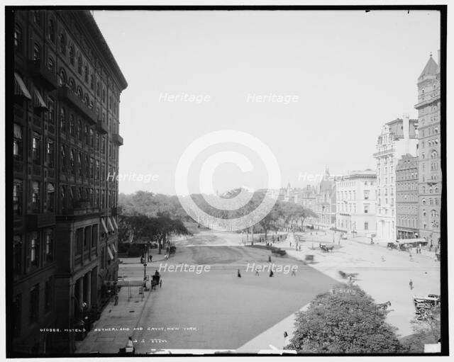 Hotels Netherland and Savoy, New York, c1905. Creator: Unknown.