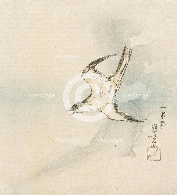 Hototogisu, Mid-19th century. Creator: Utagawa Kuniyoshi.