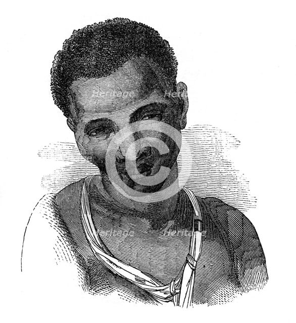 'Hottentot female', 1848. Artist: Unknown