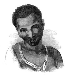 Hottentot female 1848
