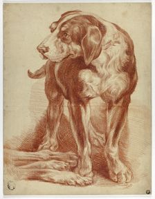 Hound Standing, n.d. Creator: Unknown