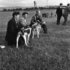 Hound Trailing, one of Cumbria's oldest and most popular sports, Keswick, 2nd July 1962. Creator: Michael Walters