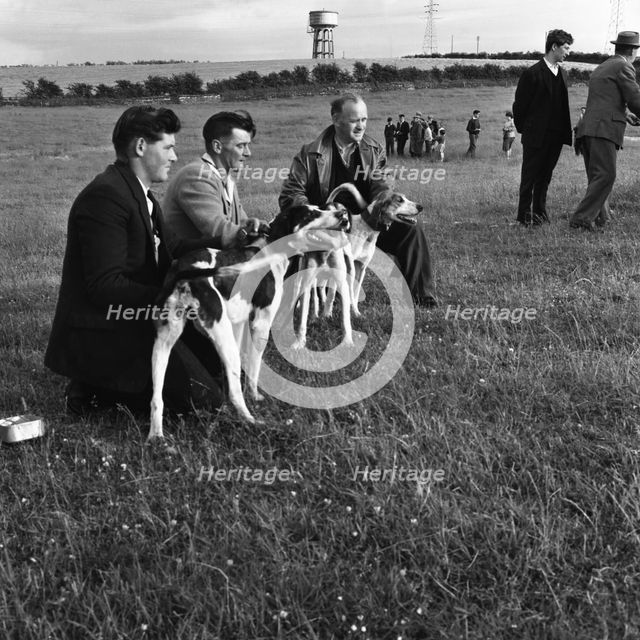 Hound Trailing, one of Cumbria's oldest and most popular sports, Keswick, 2nd July 1962. Creator: Michael Walters.
