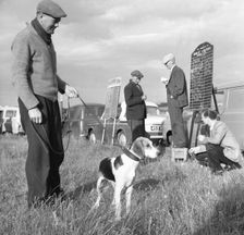 Hound Trailing, one of Cumbria's oldest and most popular sports, Keswick, 2nd July 1962. Creator: Michael Walters