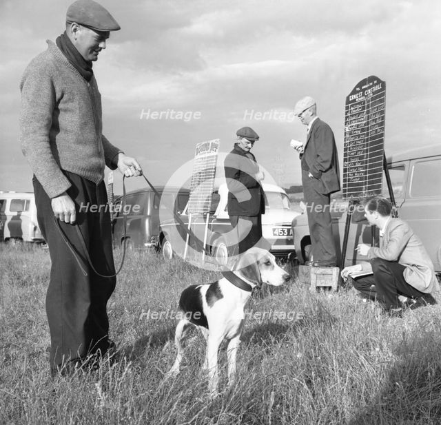 Hound Trailing, one of Cumbria's oldest and most popular sports, Keswick, 2nd July 1962. Creator: Michael Walters.