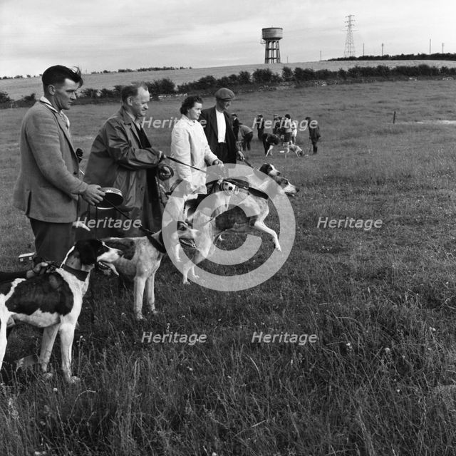 Hound Trailing, one of Cumbria's oldest and most popular sports, Keswick, 2nd July 1962. Creator: Michael Walters.