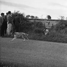 Hound Trailing, one of Cumbria's oldest and most popular sports, Keswick, 2nd July 1962. Artist: Michael Walters