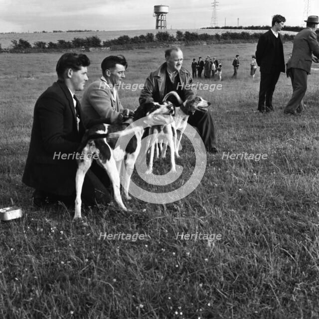 Hound Trailing, one of Cumbria's oldest and most popular sports, Keswick, 2nd July 1962. Artist: Michael Walters