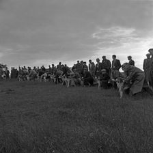 Hound Trailing, one of Cumbria's oldest and most popular sports, Keswick, 2nd July 1962. Artist: Michael Walters