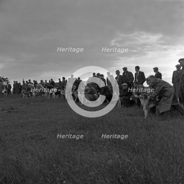 Hound Trailing, one of Cumbria's oldest and most popular sports, Keswick, 2nd July 1962. Artist: Michael Walters