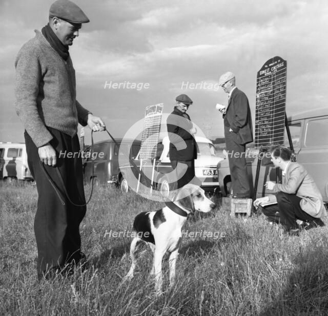 Hound Trailing, one of Cumbria's oldest and most popular sports, Keswick, 2nd July 1962. Artist: Michael Walters