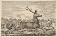Hounds Chasing a Stag and a Doe, ca. 1654. Creator: Stefano della Bella
