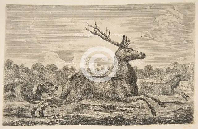 Hounds Chasing a Stag and a Doe, ca. 1654. Creator: Stefano della Bella.