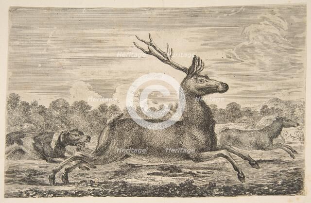 Hounds Chasing a Stag and a Doe, ca. 1654. Creator: Stefano della Bella.