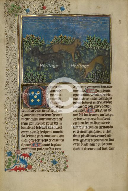 Hounds; Livre de la Chasse, about 1430-1440. Creator: Unknown.