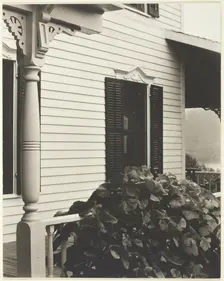 House and Grape Leaves, 1934. Creator: Alfred Stieglitz