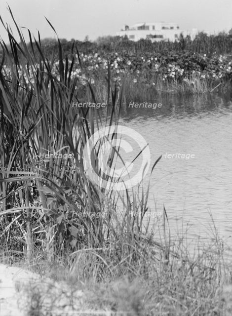 House and grounds of "The Shallows," property of Lucien Hamilton Tyng, Southampton, Long Island, 193 Creator: Arnold Genthe.