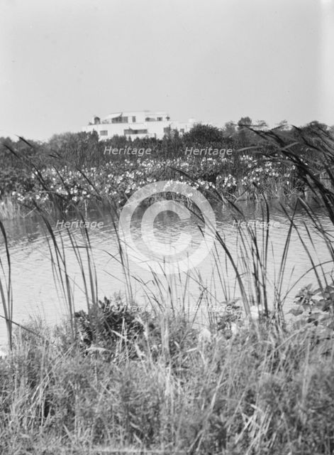 House and grounds of "The Shallows," property of Lucien Hamilton Tyng, Southampton, Long Island, 193 Creator: Arnold Genthe.