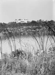 House and grounds of "The Shallows," property of Lucien Hamilton Tyng, Southampton, Long Island, 193 Creator: Arnold Genthe