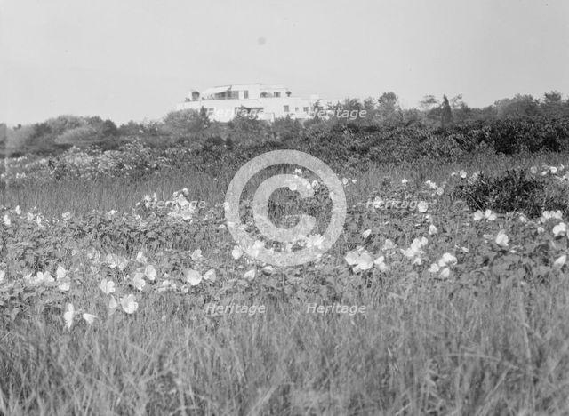 House and grounds of "The Shallows," property of Lucien Hamilton Tyng, Southampton, Long Island, 193 Creator: Arnold Genthe.
