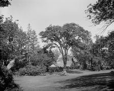 House for Aged People from the Hayes Garden, Cambridge, Mass., between 1900 and 1920. Creator: Unknown