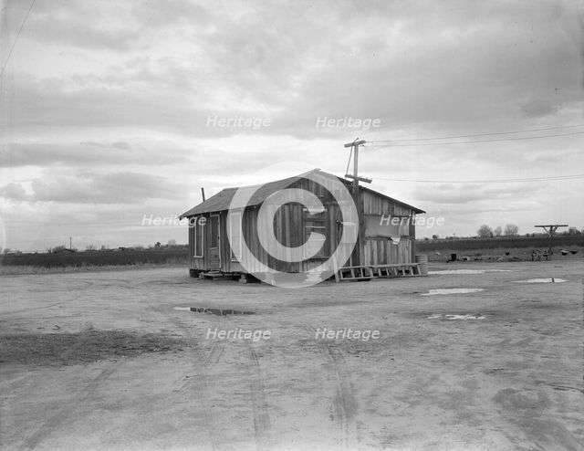 House in "Little Oklahoma", California, 1936. Creator: Dorothea Lange.
