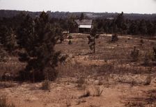 House in southern U.S., ca. 1940. Creator: Marion Post Wolcott