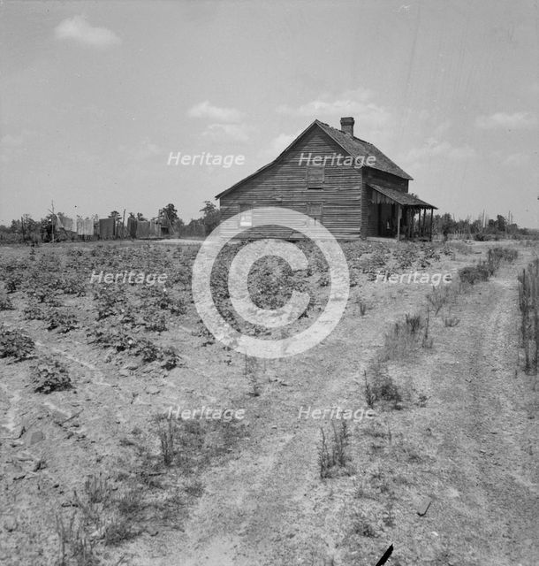 House of cotton sharecropper (white) near Gaffney, South Carolina, 1937. Creator: Dorothea Lange.