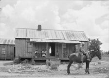 House of Negro tenant family, Pittsboro, North Carolina, 1939. Creator: Dorothea Lange