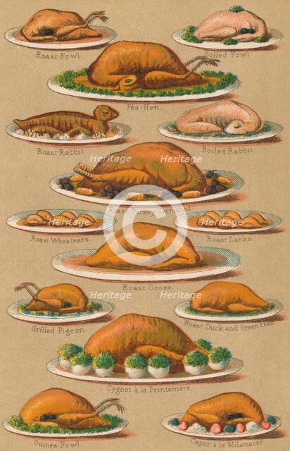 'Household Management - Plate VI', 1907, (1907). Artist: Unknown.