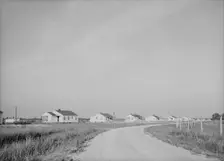 Houses at Lake Dick cooperative, Arkansas, 1938. Creator: Dorothea Lange