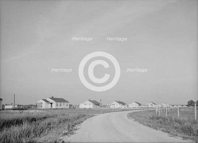Houses at Lake Dick cooperative, Arkansas, 1938. Creator: Dorothea Lange.
