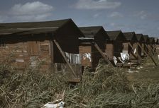 Houses condemned by the Board of Health, Belle Glade, Florida, USA, 1941. Creator: Marion Post Wolcott