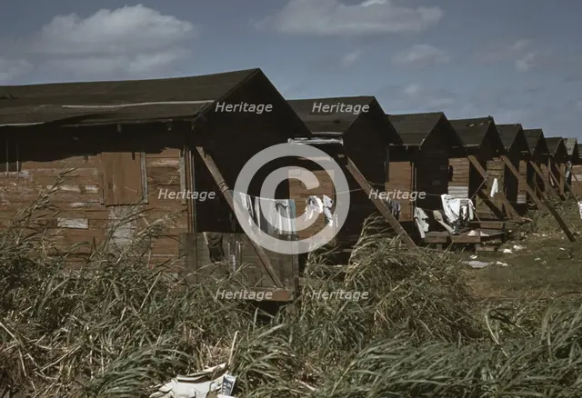 Houses condemned by the Board of Health, Belle Glade, Florida, USA, 1941.  Creator: Marion Post Wolcott.