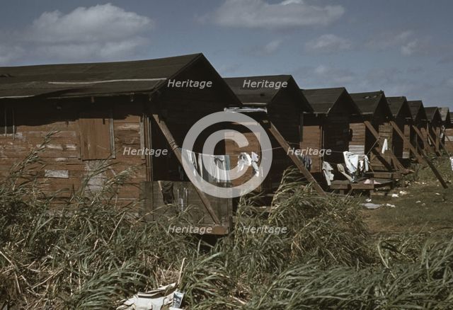Houses condemned by the Board of Health, Belle Glade, Florida, USA, 1941.  Creator: Marion Post Wolcott.