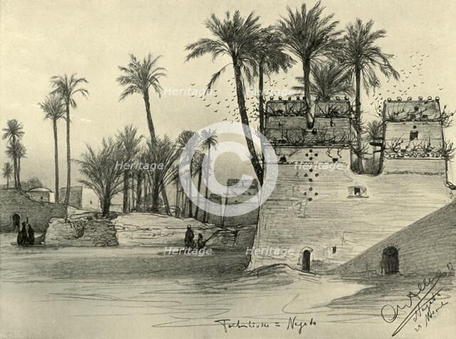 Houses in Nagada, Egypt, 1898.  Creator: Christian Wilhelm Allers.