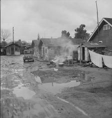 Houses inhabited by Mexican citrus workers, Lindsay, Tulare County, California, 1939. Creator: Dorothea Lange