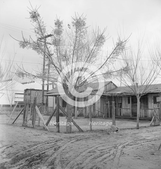 Houses inhabited by Mexican citrus workers, Lindsay, Tulare County, California , 1939. Creator: Dorothea Lange.