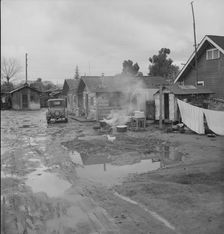 Houses inhabited by Mexican citrus workers, Lindsay, Tulare County, California, 1939. Creator: Dorothea Lange