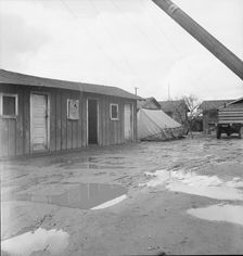 Houses inhabited by Mexican citrus workers, Lindsay, Tulare County, California , 1939. Creator: Dorothea Lange