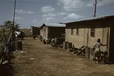 Houses which have been condemned by the Board of Health..., Belle Glade, Fla., 1941. Creator: Marion Post Wolcott