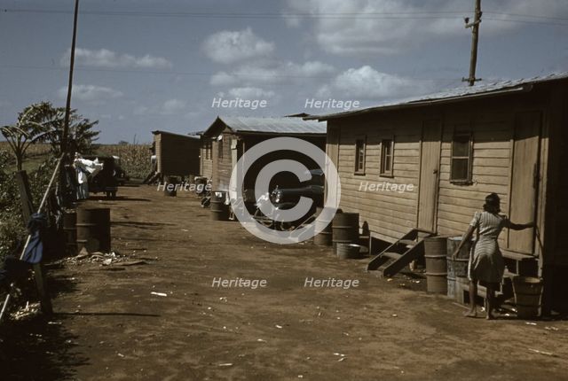 Houses which have been condemned by the Board of Health..., Belle Glade, Fla., 1941. Creator: Marion Post Wolcott.