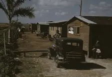 Houses which have been condemned by the Board of Health..., Belle Glade, Fla., 1941. Creator: Marion Post Wolcott