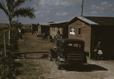 Houses which have been condemned by the Board of Health..., Belle Glade, Fla., 1941. Creator: Marion Post Wolcott
