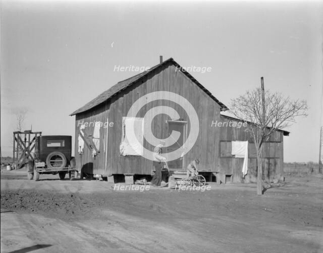 Housing for Oklahoma refugees, California, 1936. Creator: Dorothea Lange.
