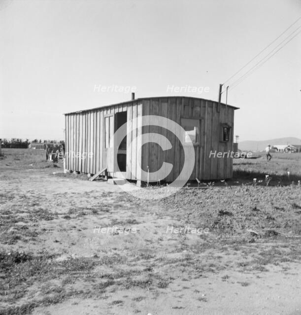 Housing for rapidly growing settlement of lettuce workers on fringe of town, Salinas, CA , 1939. Creator: Dorothea Lange.