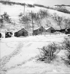 Housing in Utah coal town, Consumers, near Price, Utah, 1936. Creator: Dorothea Lange