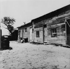 Housing of migrant berry pickers in southern New Jersey, 1936. Creator: Dorothea Lange