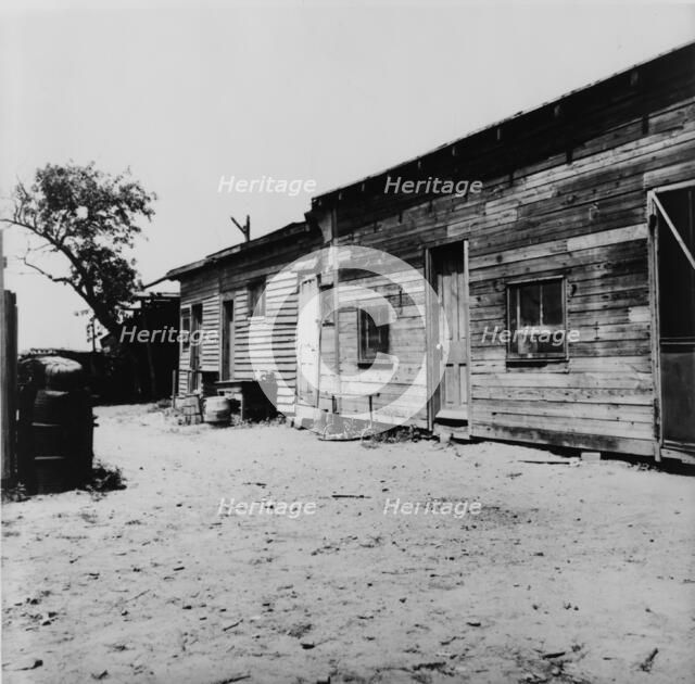 Housing of migrant berry pickers in southern New Jersey, 1936. Creator: Dorothea Lange.